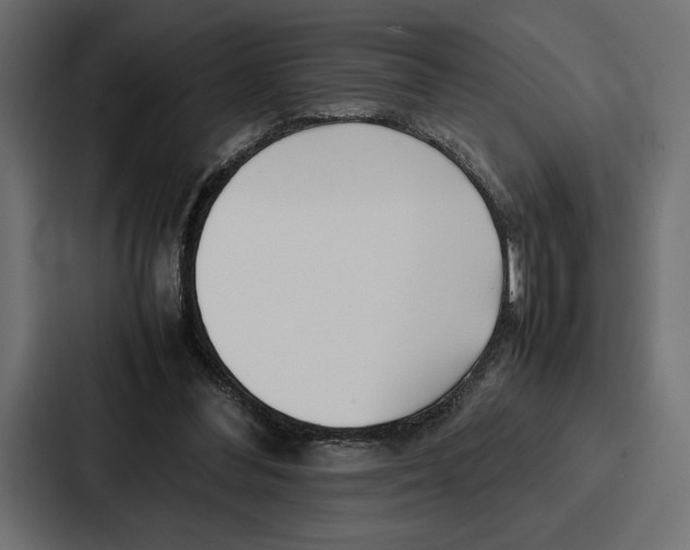 X0000086740300200705111640