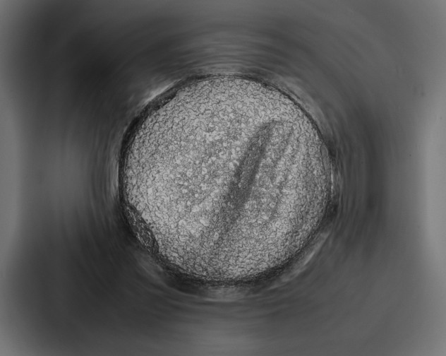 X0000086740301200705111640