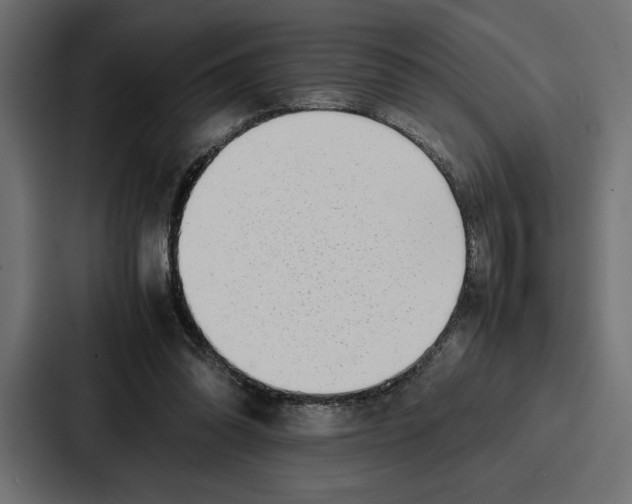 X0000086740302200705111640