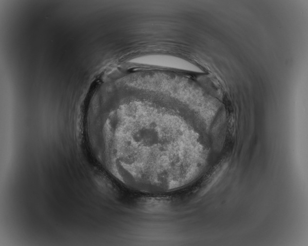 X0000086740303200705111640