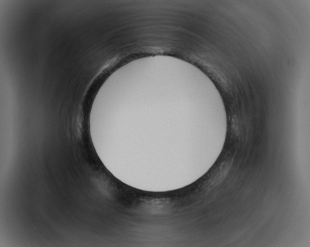 X0000086740304200705111640
