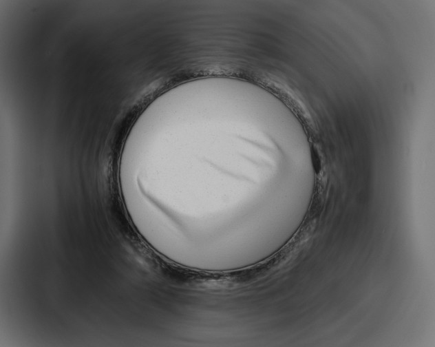 X0000086740306200705111640