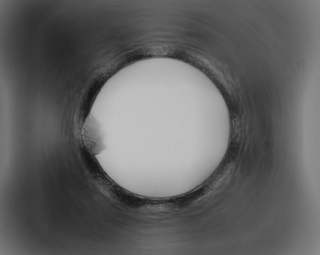 X0000086740307200705111640