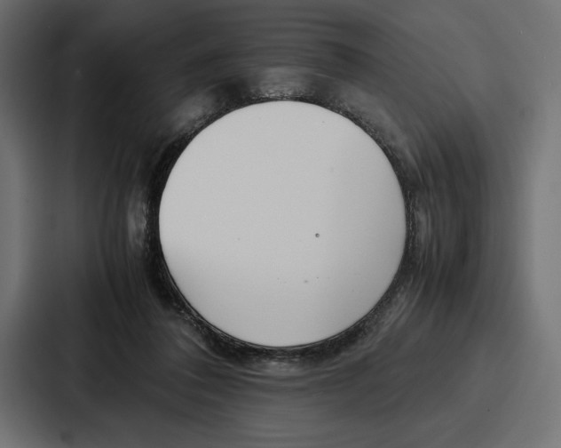X0000086740308200705111640