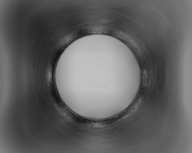 X0000086740310200705111640