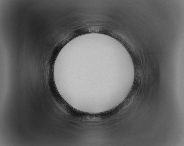 X0000086740311200705111640
