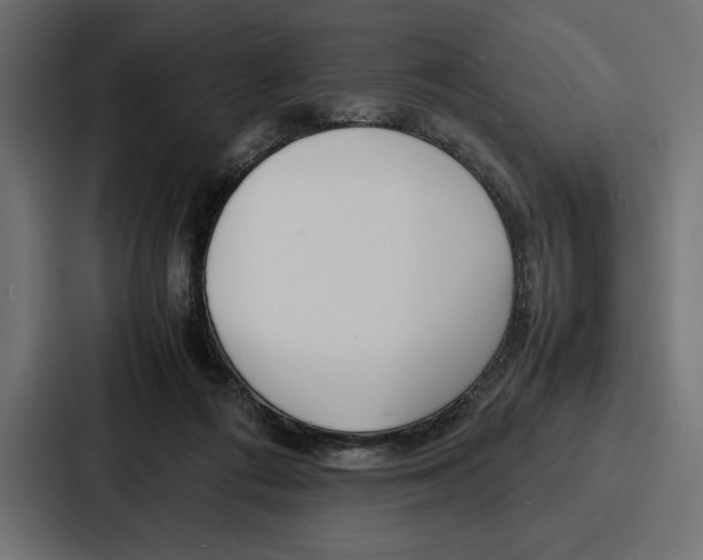 X0000086740312200705111640