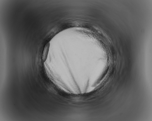 X0000086740313200705111640
