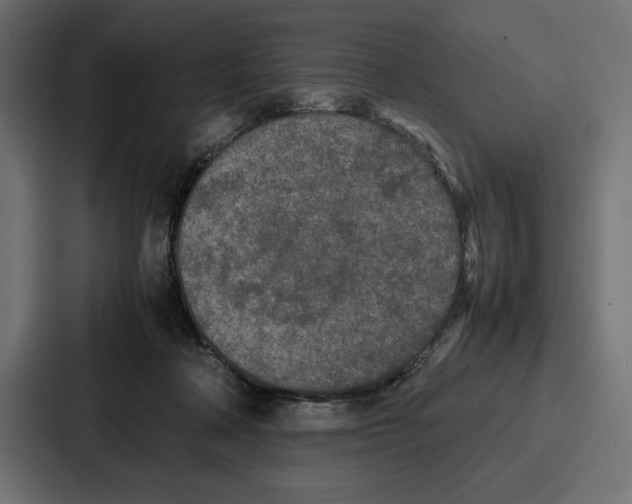 X0000086740314200705111640