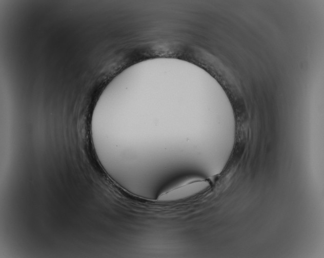X0000086740317200705111640