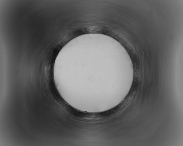 X0000086740319200705111640