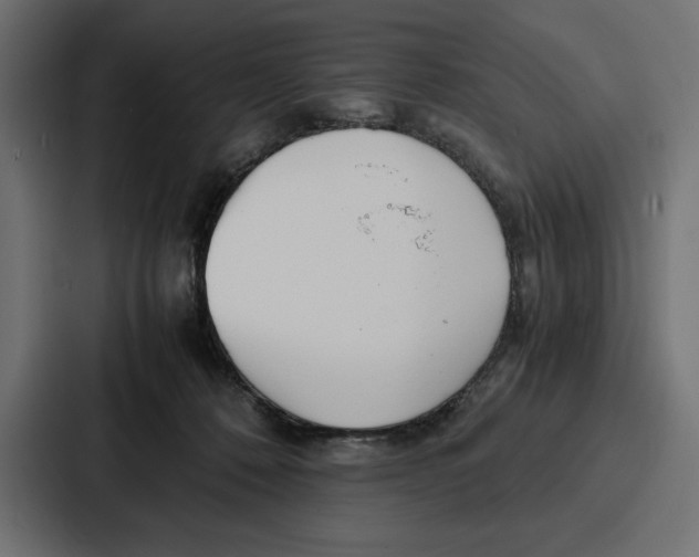 X0000086740320200705111640
