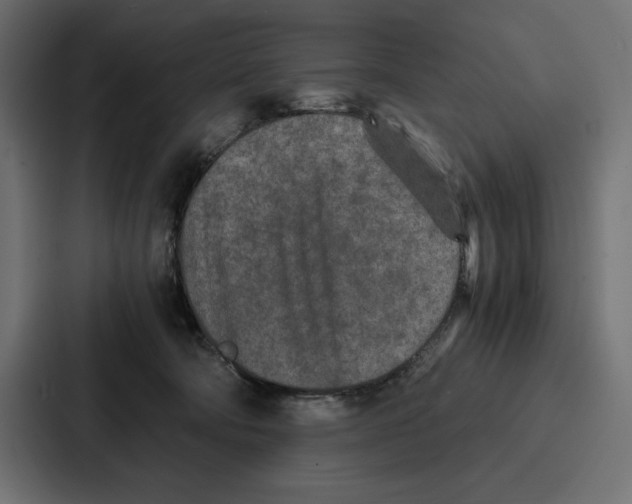 X0000086740322200705111640