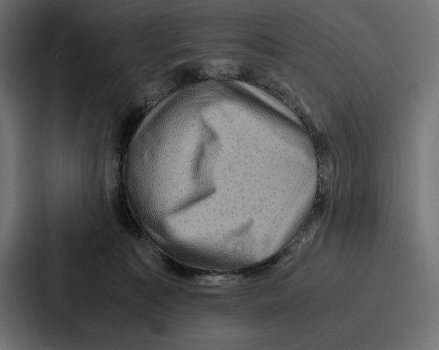 X0000086740323200705111640