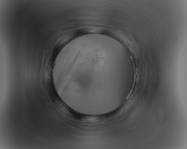 X0000086740325200705111640