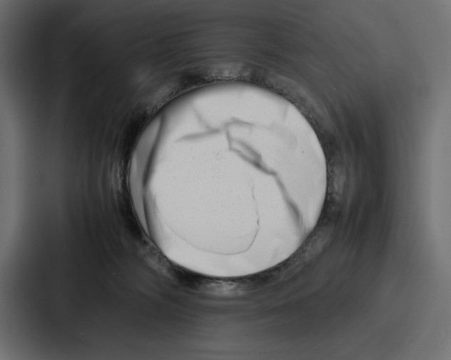X0000086740326200705111640