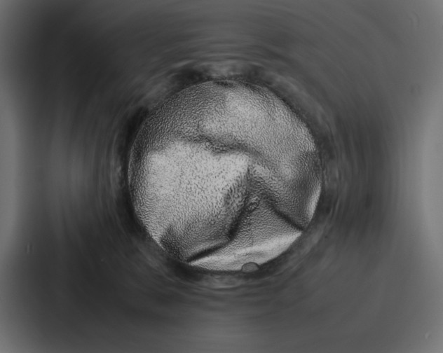 X0000086740327200705111640