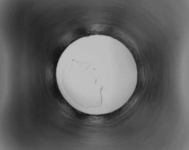 X0000086740328200705111640