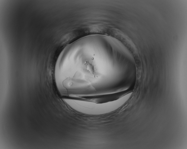 X0000086740329200705111640