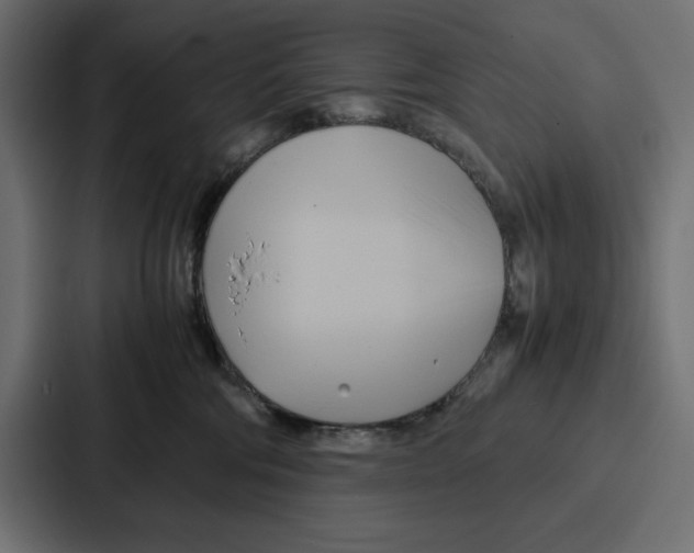 X0000086740330200705111640