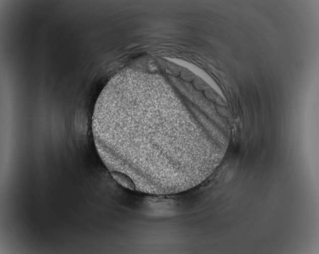 X0000086740331200705111640