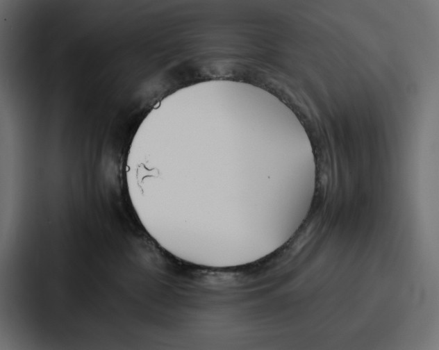 X0000086740332200705111640