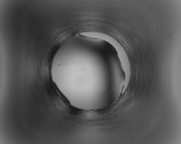 X0000086740333200705111640