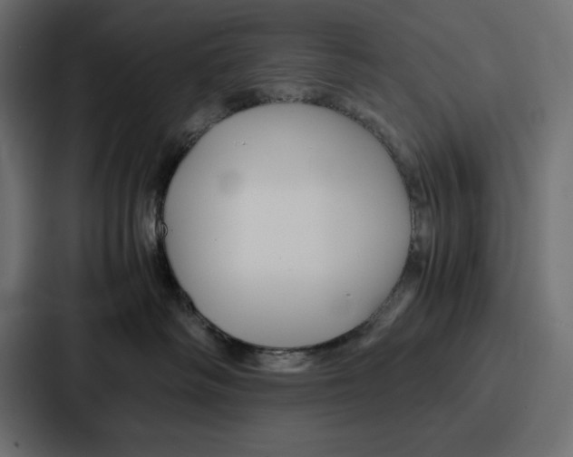 X0000086740334200705111640