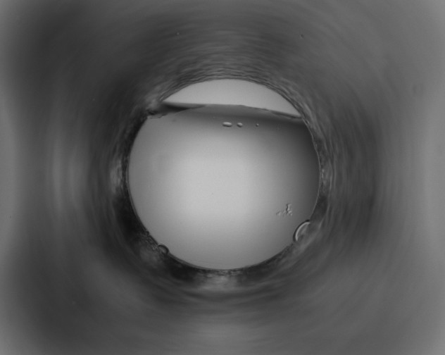 X0000086740335200705111640