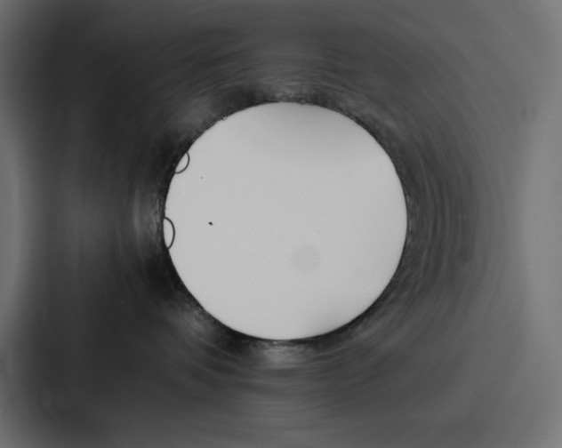X0000086740336200705111640