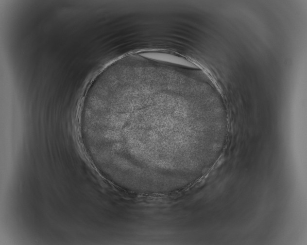 X0000086740337200705111639