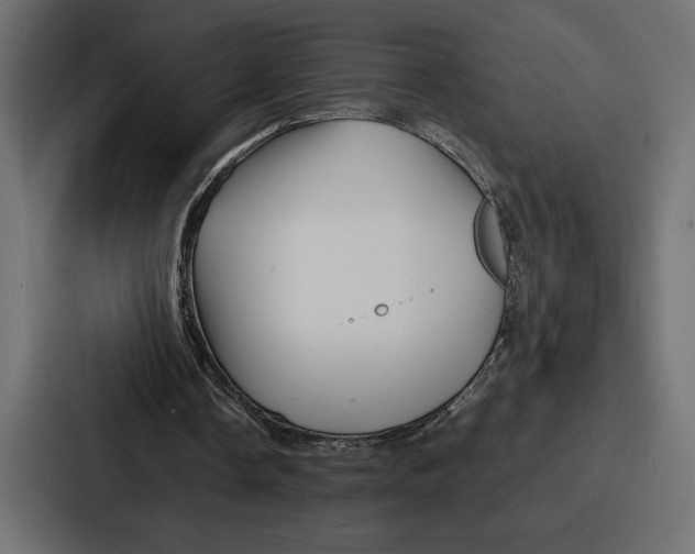 X0000086740338200705111639