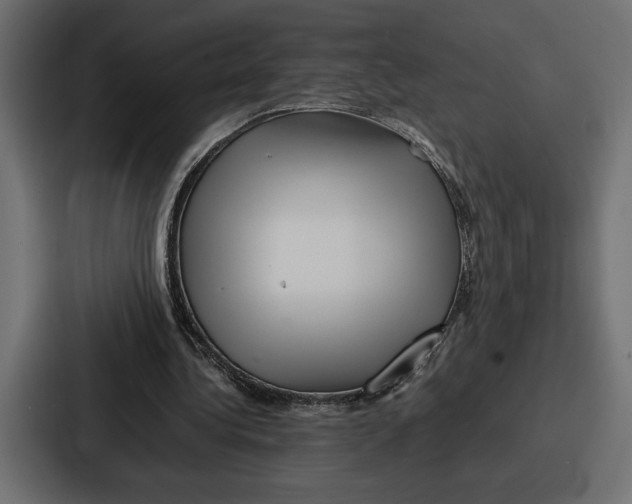X0000086740340200705111639