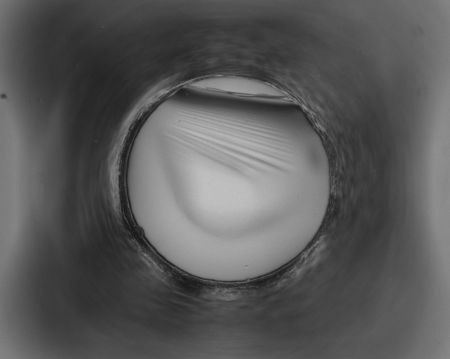 X0000086740341200705111639