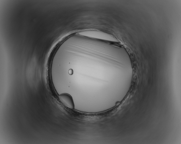 X0000086740342200705111639