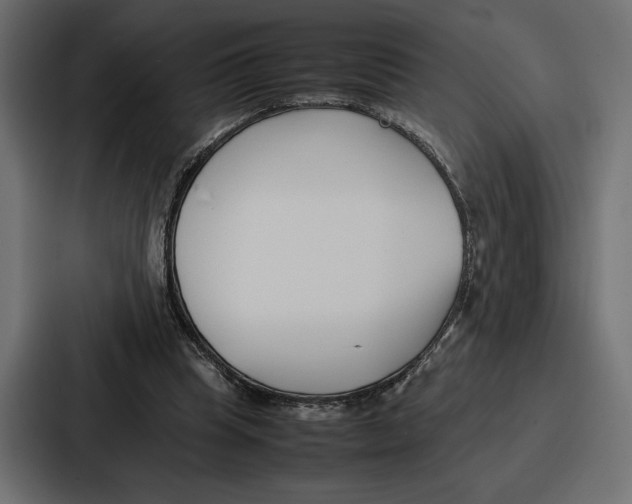 X0000086740345200705111639
