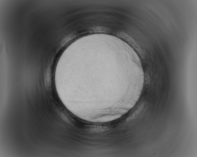 X0000086740347200705111639