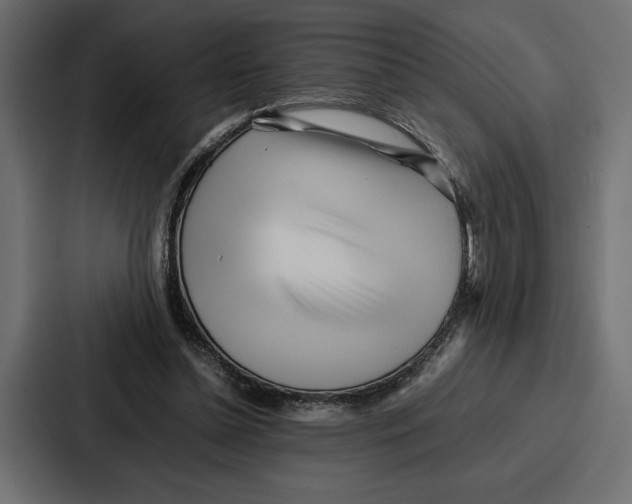 X0000086740348200705111639