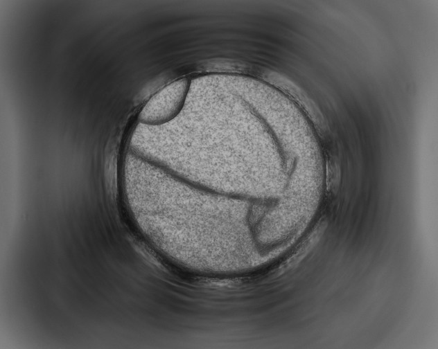 X0000086740349200705111639