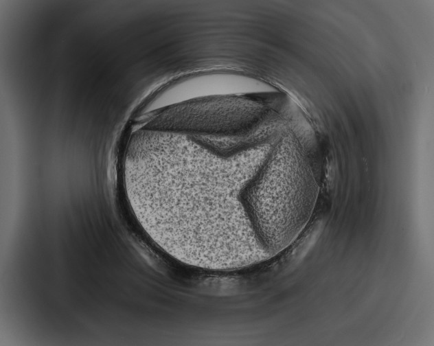 X0000086740350200705111639