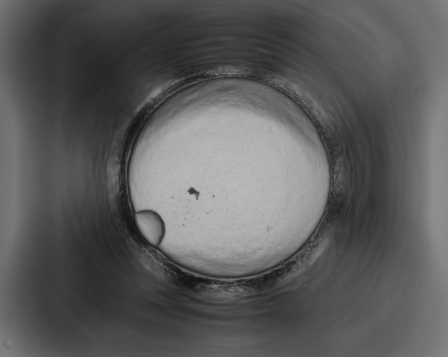 X0000086740351200705111639