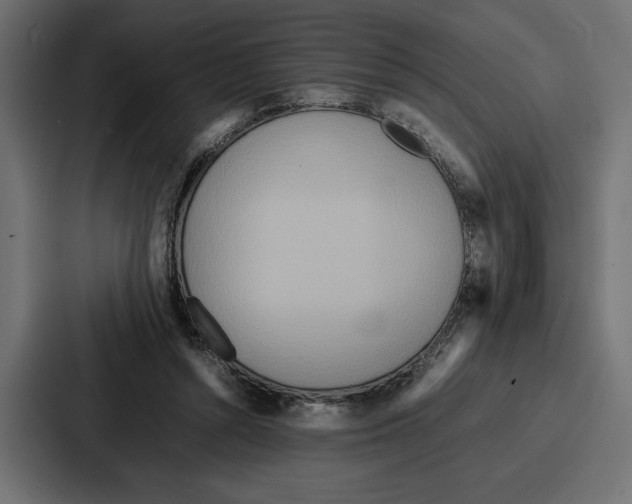X0000086740352200705111639