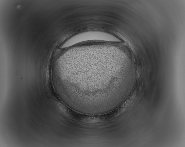 X0000086740353200705111639