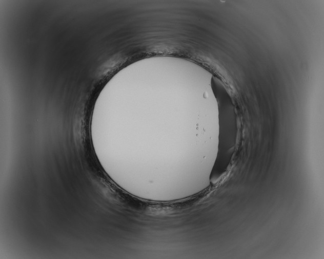 X0000086740354200705111639