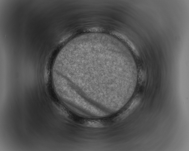 X0000086740355200705111639