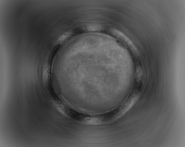 X0000086740356200705111639