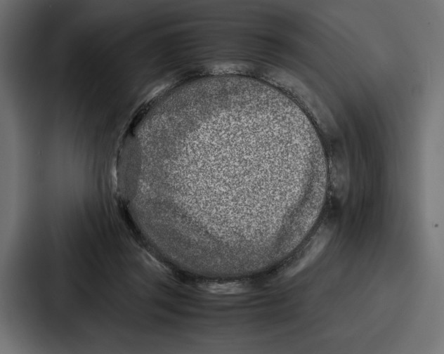 X0000086740357200705111639