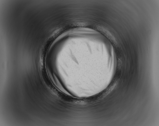 X0000086740358200705111639