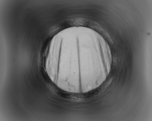 X0000086740359200705111639