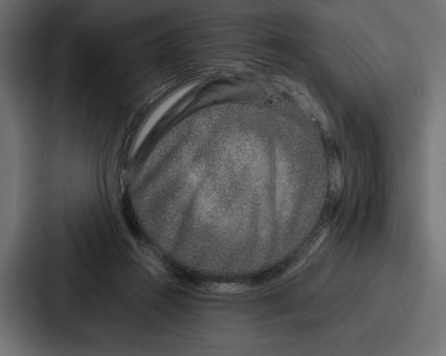 X0000086740360200705111639